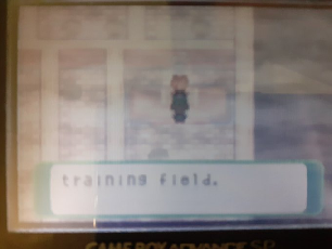 1618057176483.png