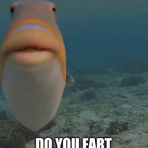 1618588019572.png