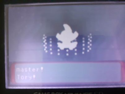 1618765467935.png