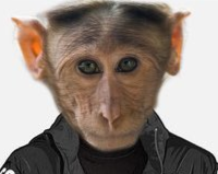 1618791552117.png