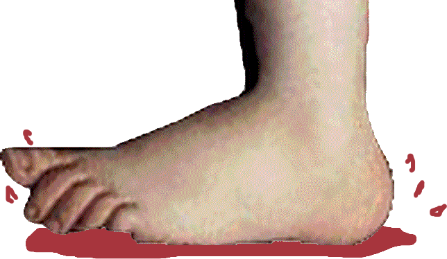 1620806250509.png