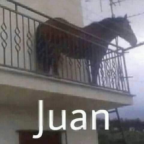 1623071205639.png