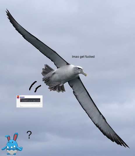 1623462615822.png