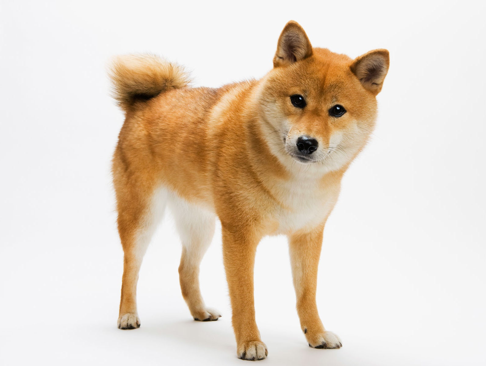 1624911096888.png