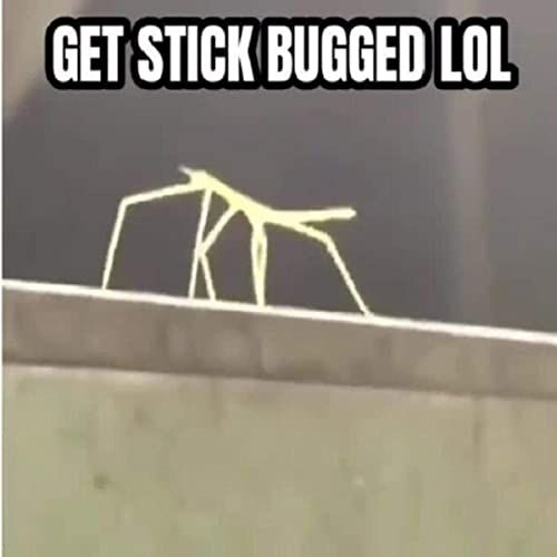 1625672161774.png