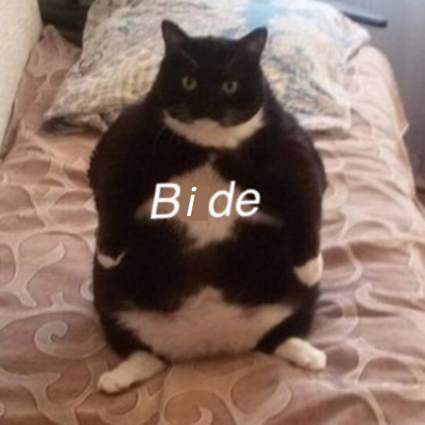 1626667616693.png