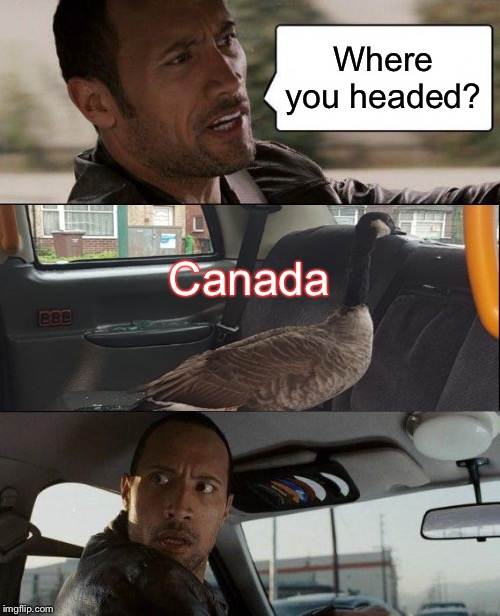 1627235362305.png