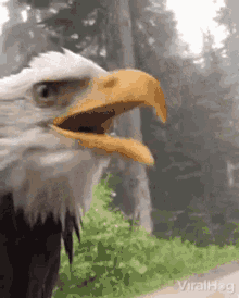 1627683736821.gif