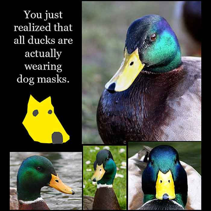 1632891099370.png