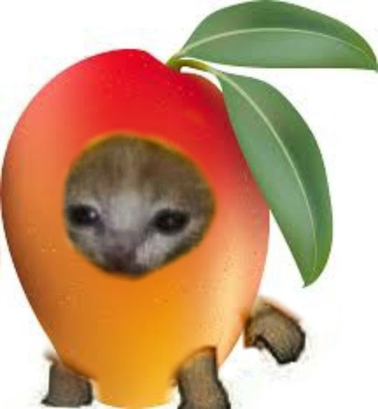 1634077463180.png
