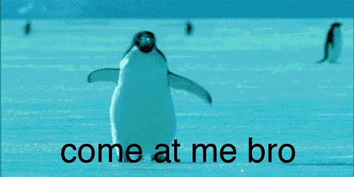1635403265522.png