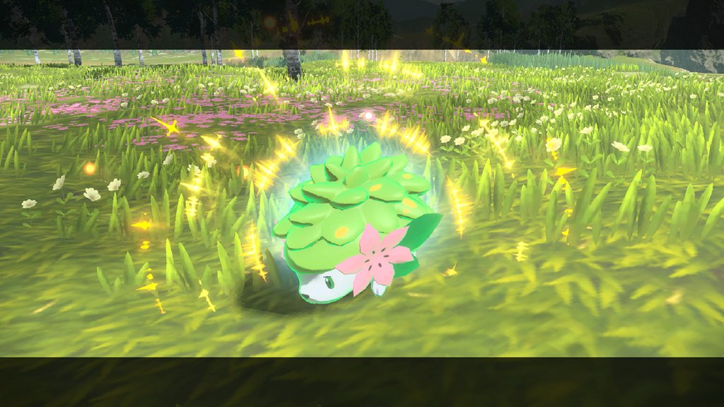 1636781234332.png