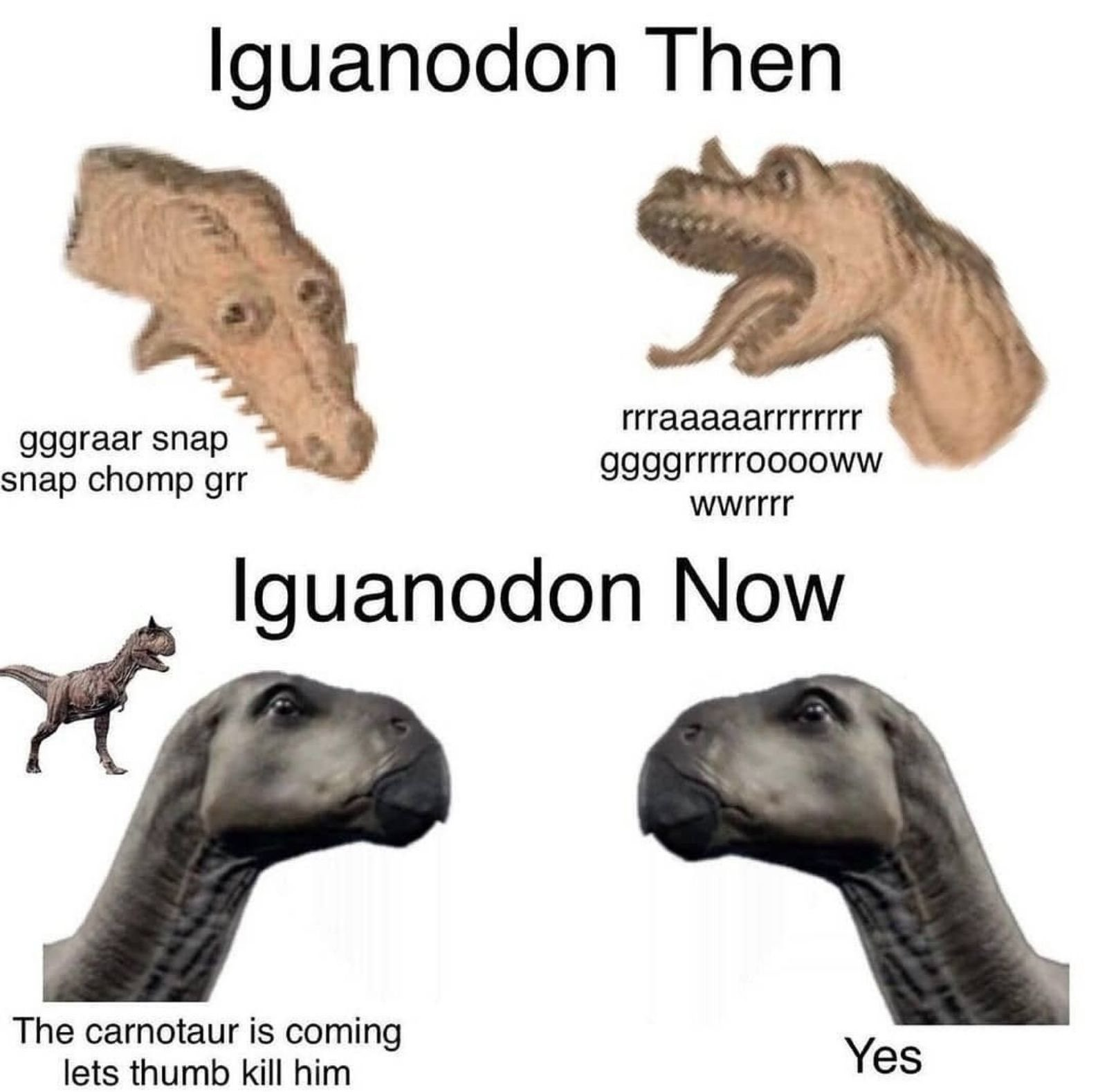 1637037414389.png