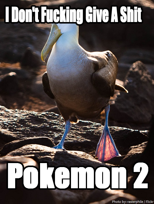 1637595449495.png