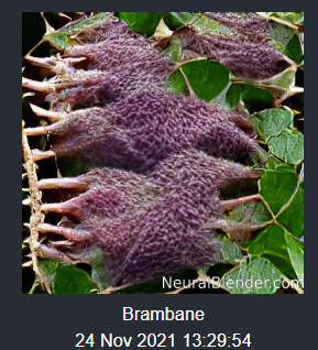 1637735606614.png