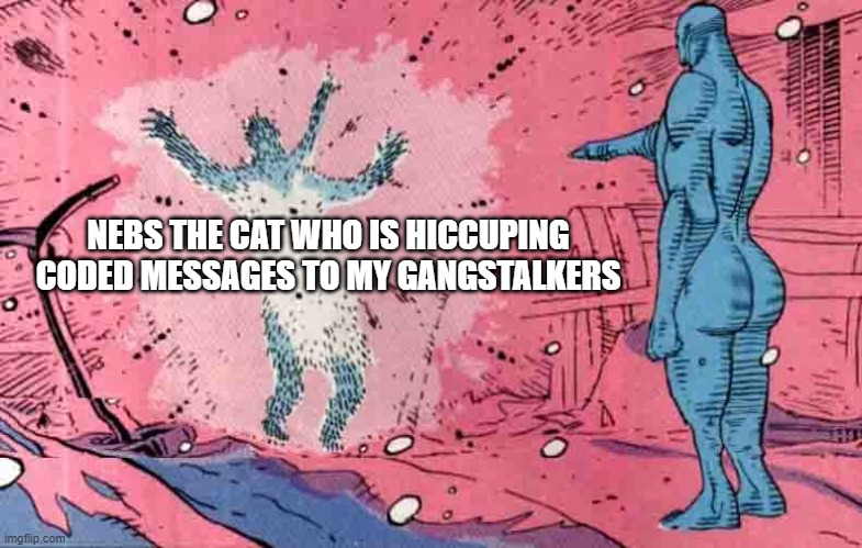 1638237993647.png