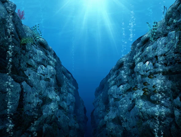 1640035316399.png