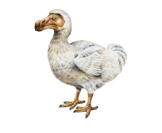 1643752470083.png