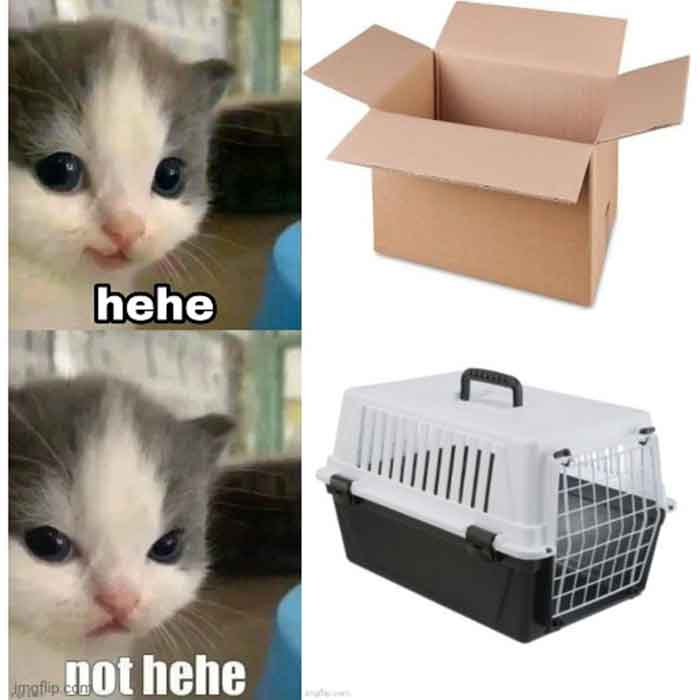 1646017331621.png