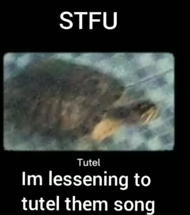 1650480427700.png