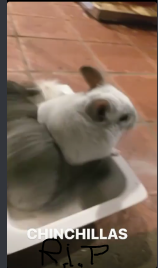 1657394190407.png