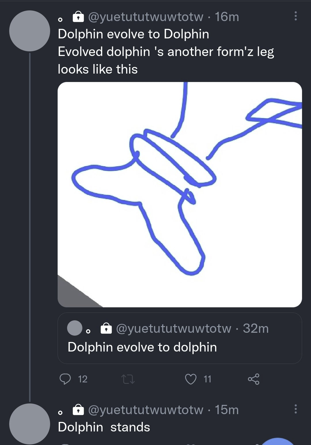 dolphin