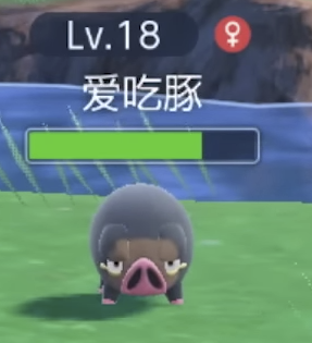 1665271917885.png