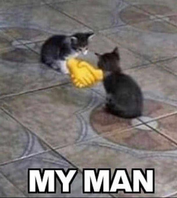 1665815216700608.jpg