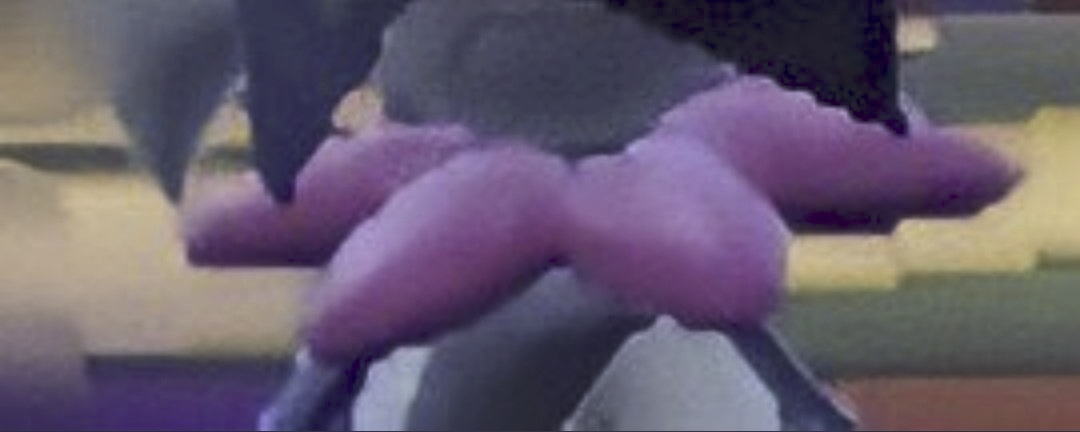1667182036921.png