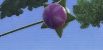 1667936279710.png