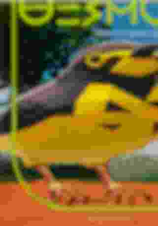1667966905907.png