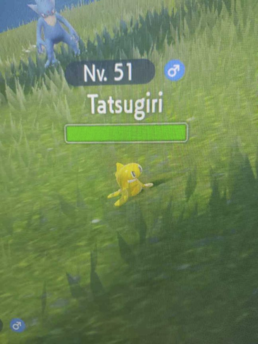 1668056038927.png