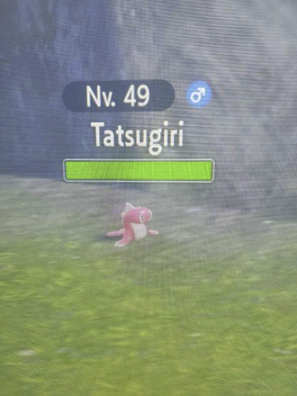 1668056042214.png