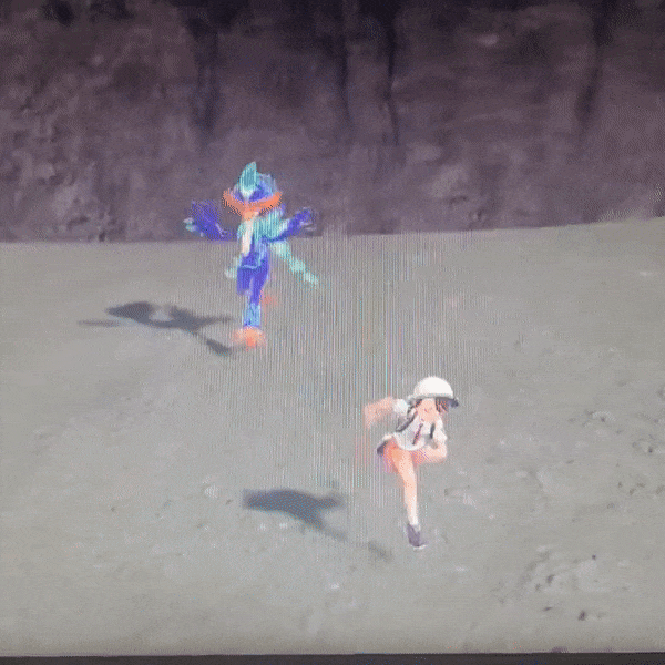1668060159936457.gif
