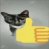 1669004587902.png