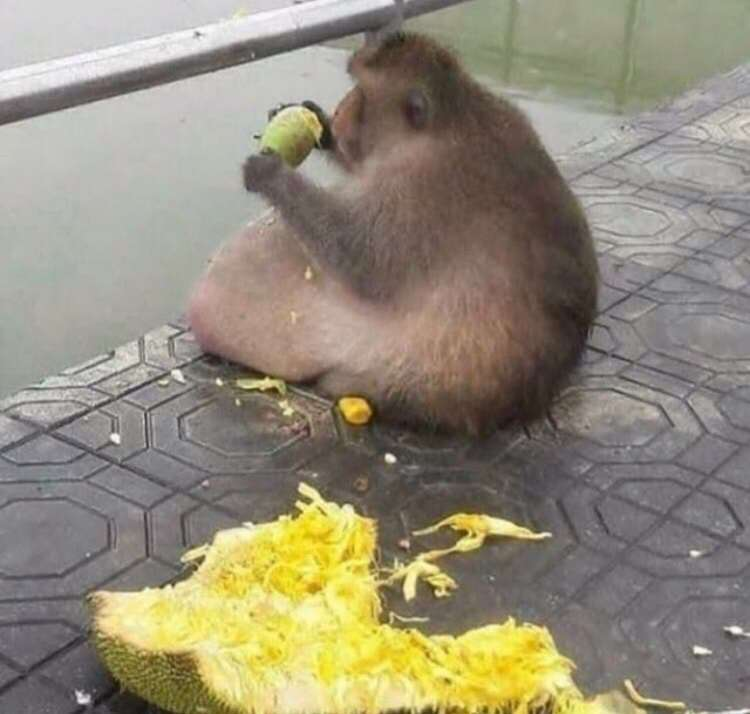 1670700055668.png