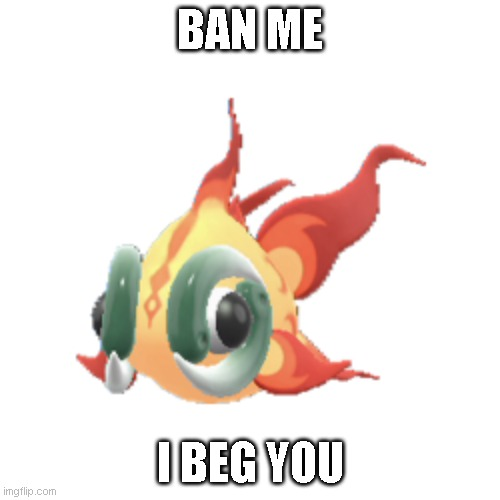 1671689658552.png