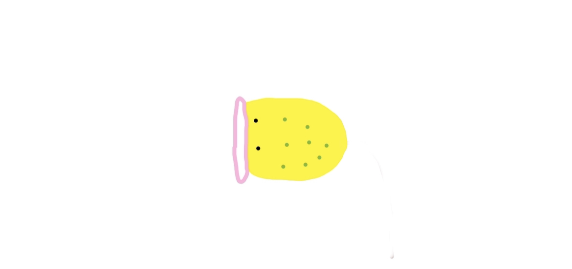 1678672286951.png