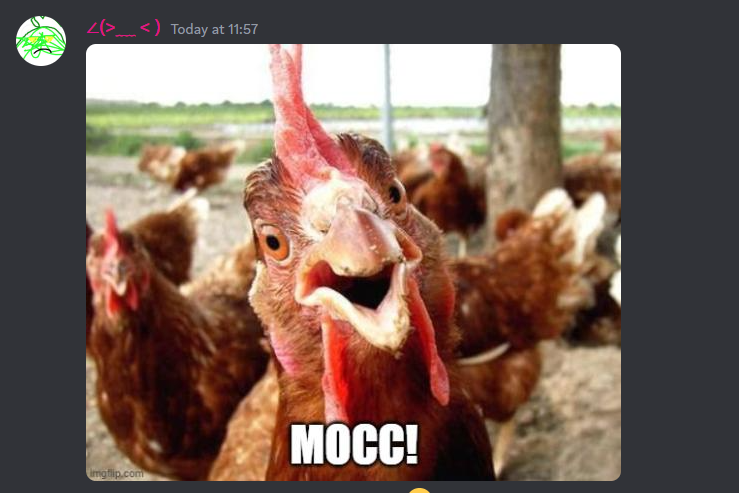 1683435980940.png