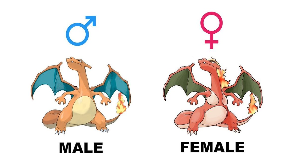 1686862859503.png