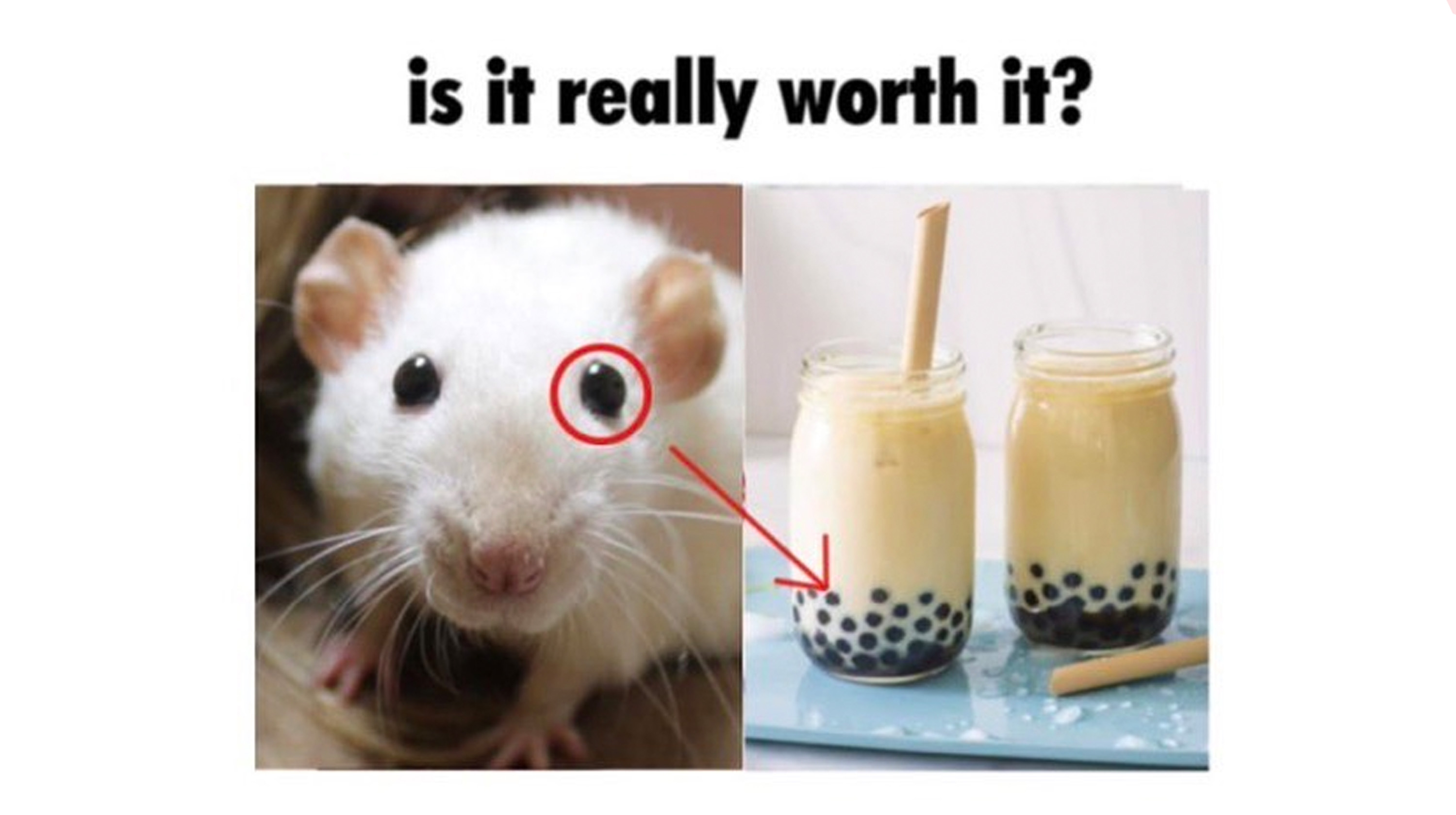 1688952812109.png