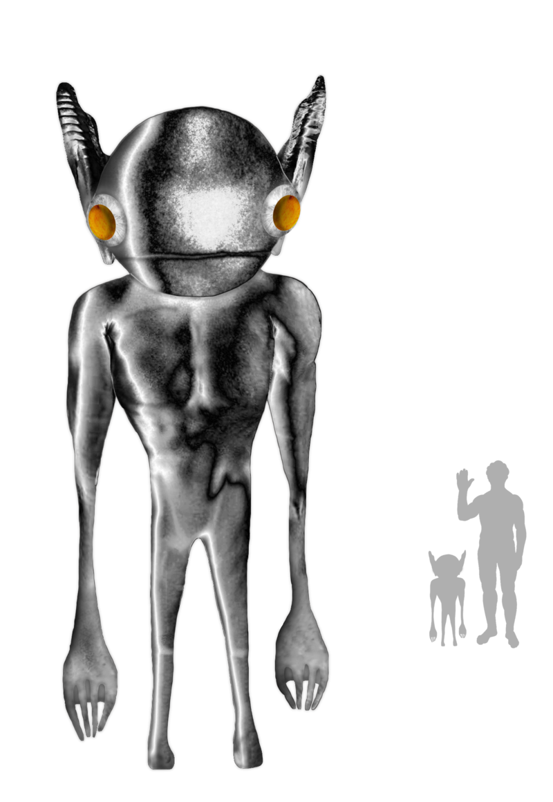 1691460902916.png