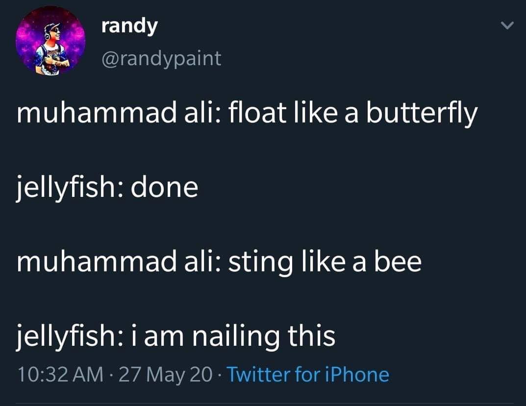 1695185239428.jpeg