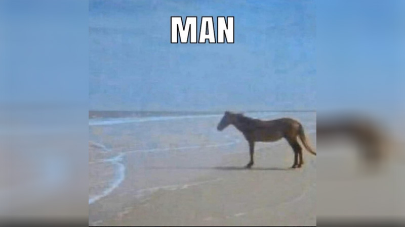 1699271288543.png