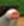 1703003929428.png