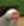 1703004034110.png
