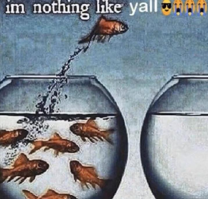 1704136696158.png