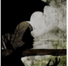 1708177953588.png