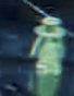 1709047335975.png