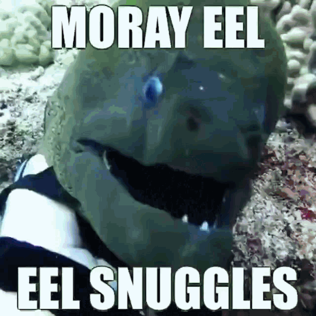 1711811900909.png